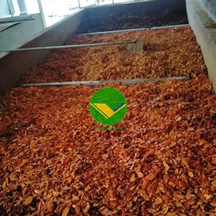 Cụng cấp nghệ sấy khô Vikafoods 