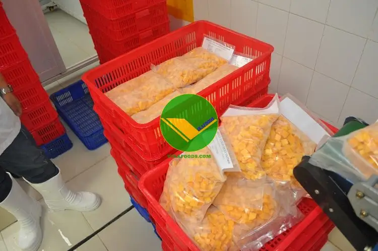 Cung cấp xoài đông Lạnh Vikafoods 