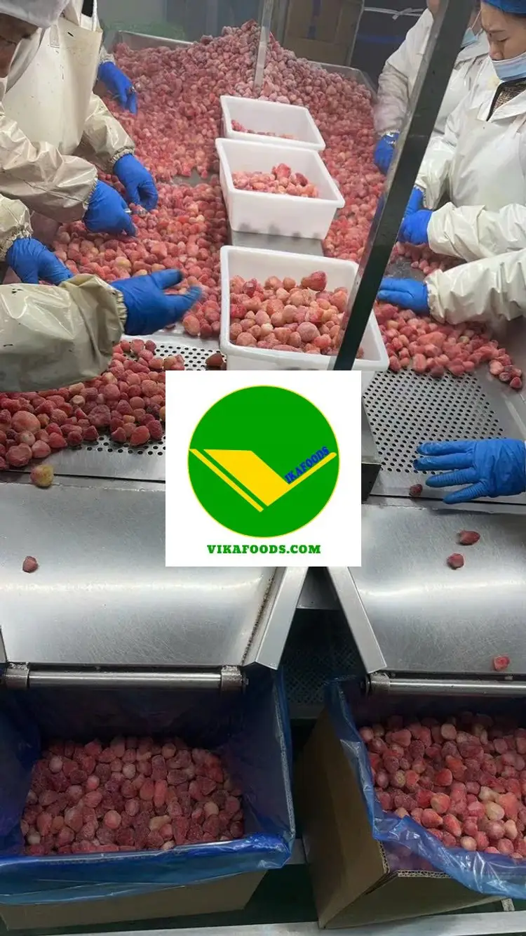 Dâu tây đông lạnh Vikafoods 