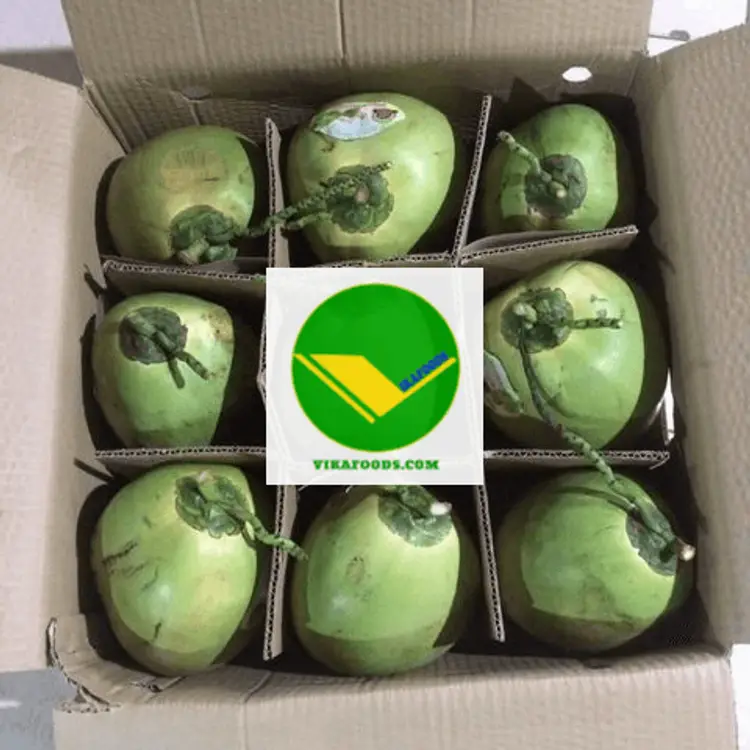 Dừa tươi mát lạnh Vikafoods 