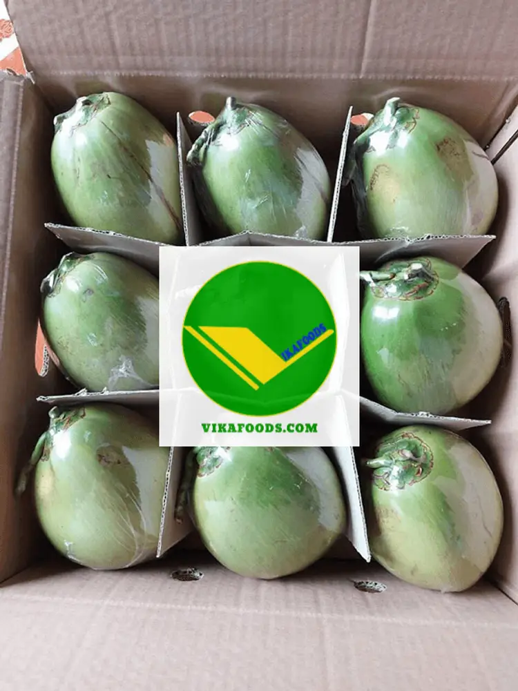 Dừa tươi mát lạnh Vikafoods 