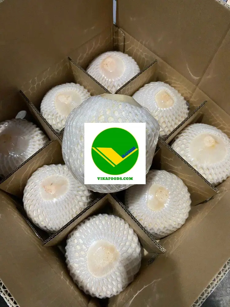 Dừa tươi vikafoods 