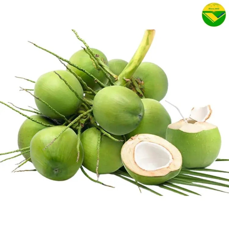 Dừa tươi vikafoods 