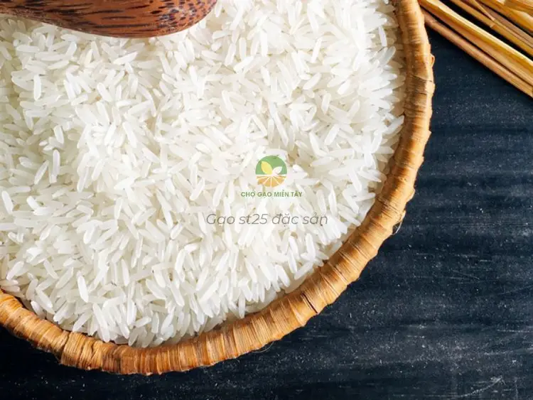 Gạo st 25 sóc trăng 