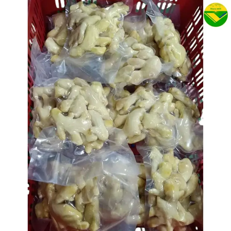 Gừng đông lạnh vikafoods 
