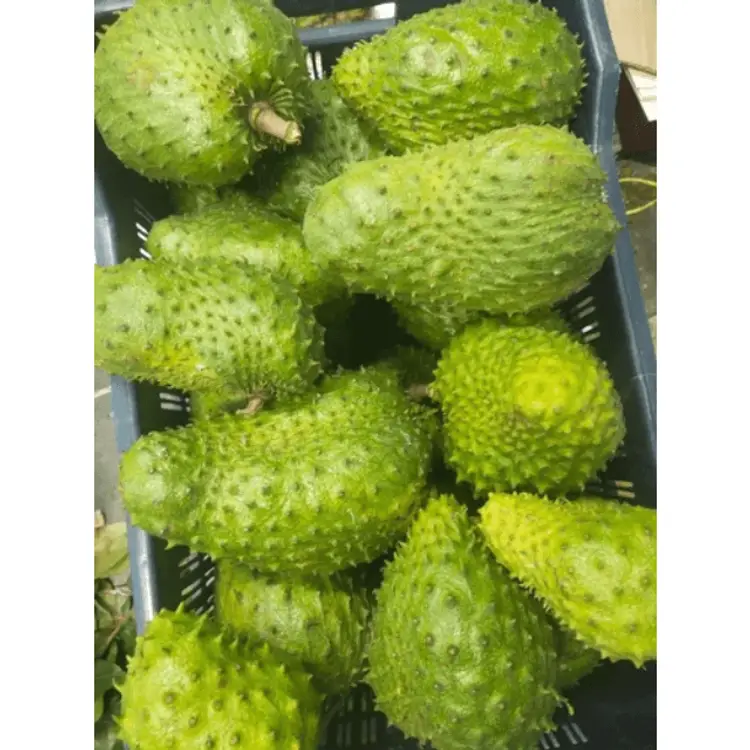 Mãng cầu tươi vikafoods 