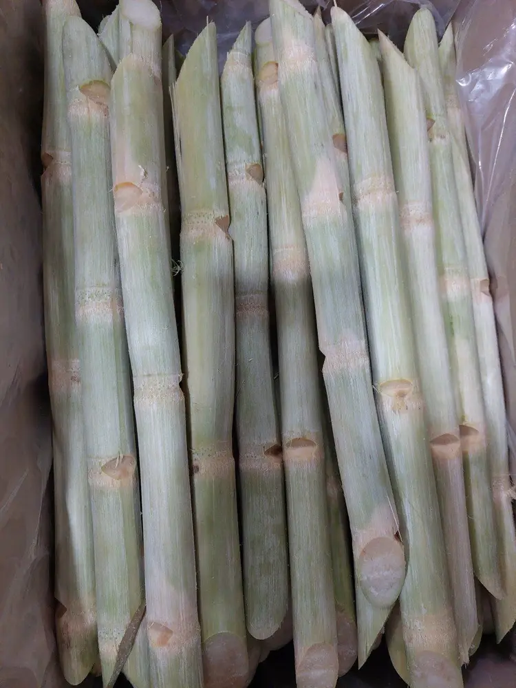 Mía đông lạnh 