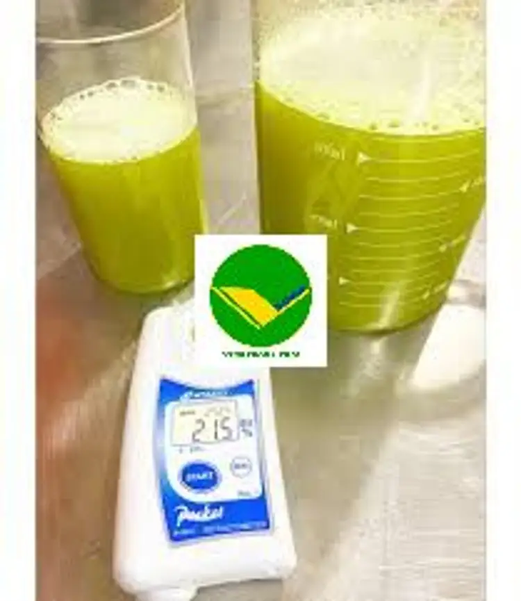 Mía Đông Lạnh Vikafoods 
