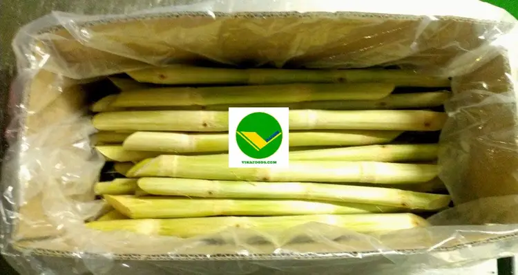 Mía đông lạnh Vikafoods 