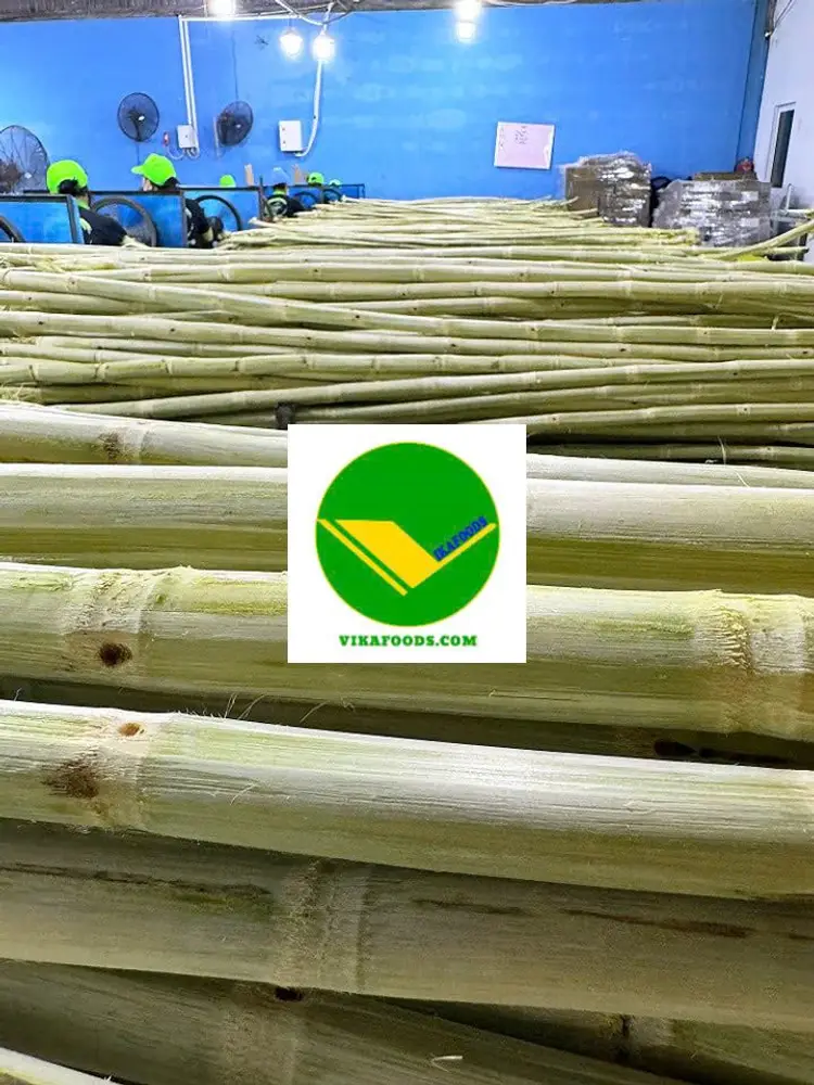 Mía đông lạnh vikafoods 