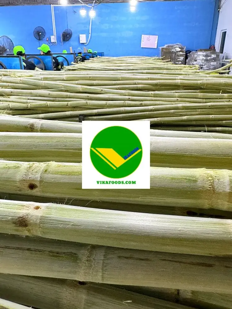 Mía đông lạnh Vikafoods 