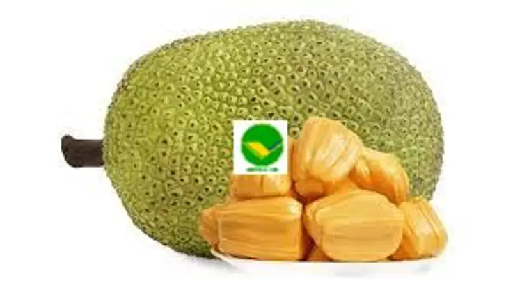 Mít tươi ngon Vikafoods 