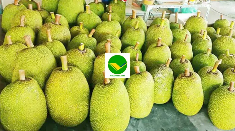 Mít tươi ngon Vikafoods 