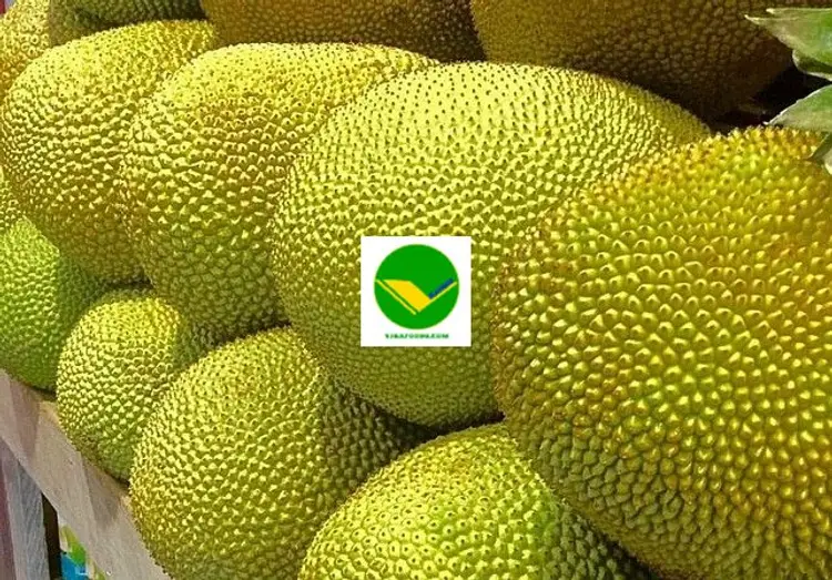 Mít tươi ngon Vikafoods 