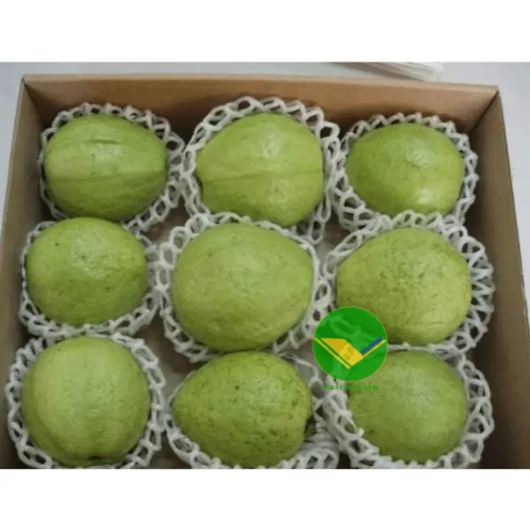 Ổi tươi vikafoods 