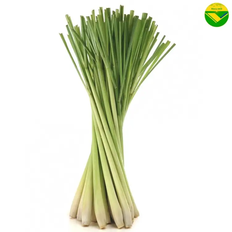 Sả tươi vikafoods 