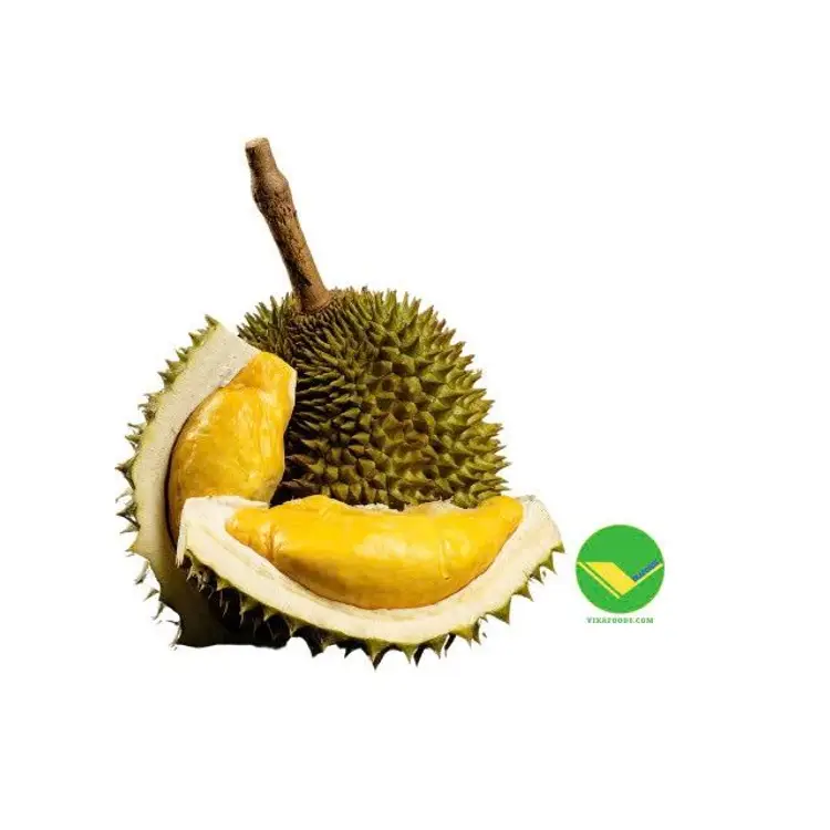 Sầu riêng đông lạnh Vikafoods 