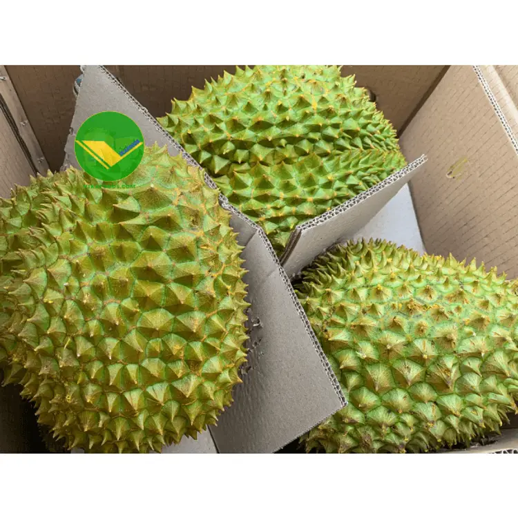 Sầu riêng vikafoods 