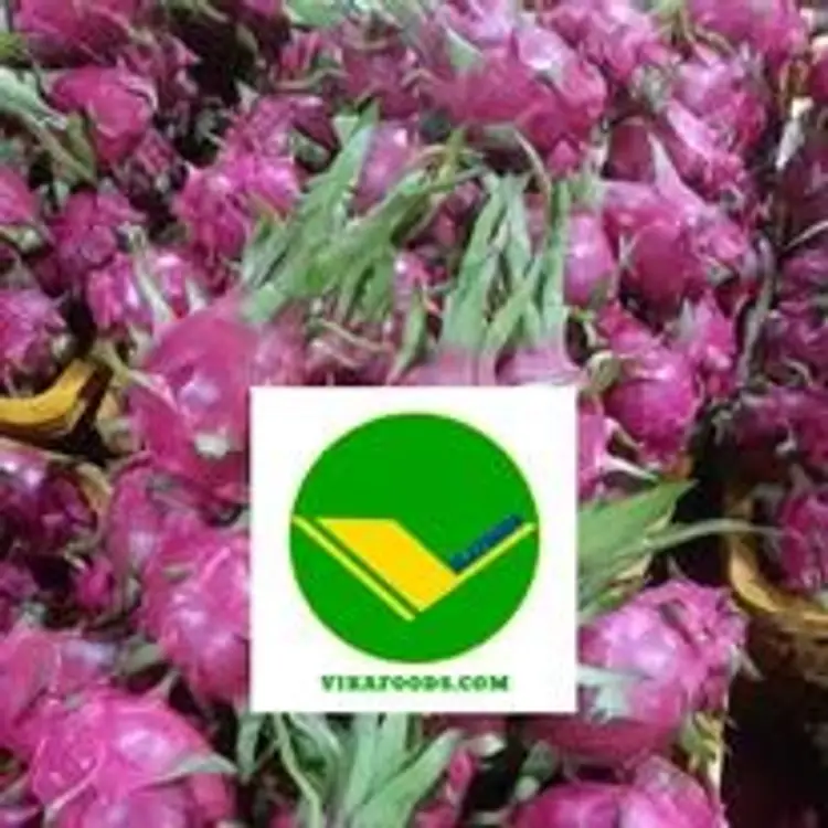 Thanh long tươi vikafoods 