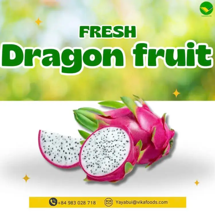 Thanh long tươi Vikafoods 
