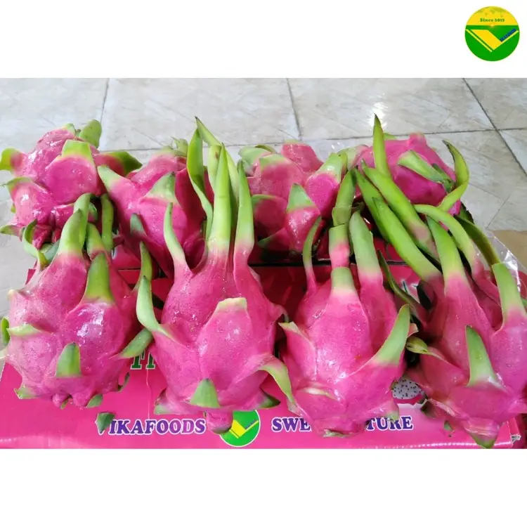 Thanh long tươi Vikafoods 
