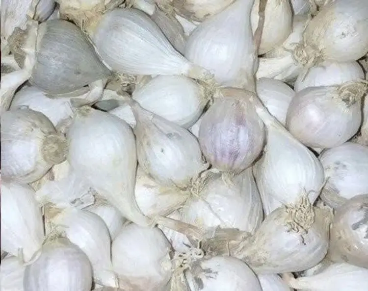 Tỏi khô vikafoods 