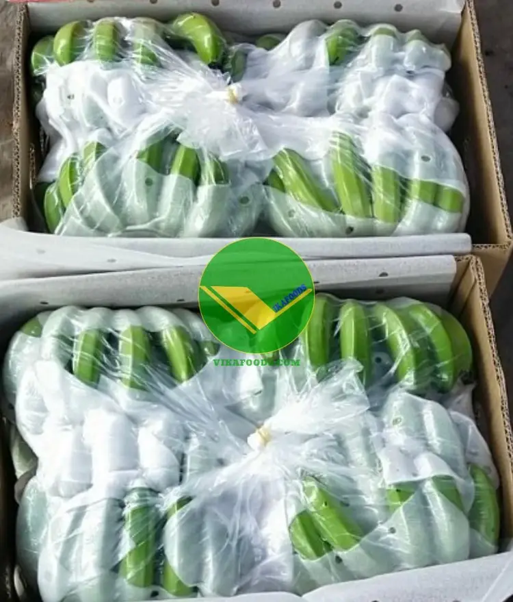 Trái chuối tươi vikafoods 