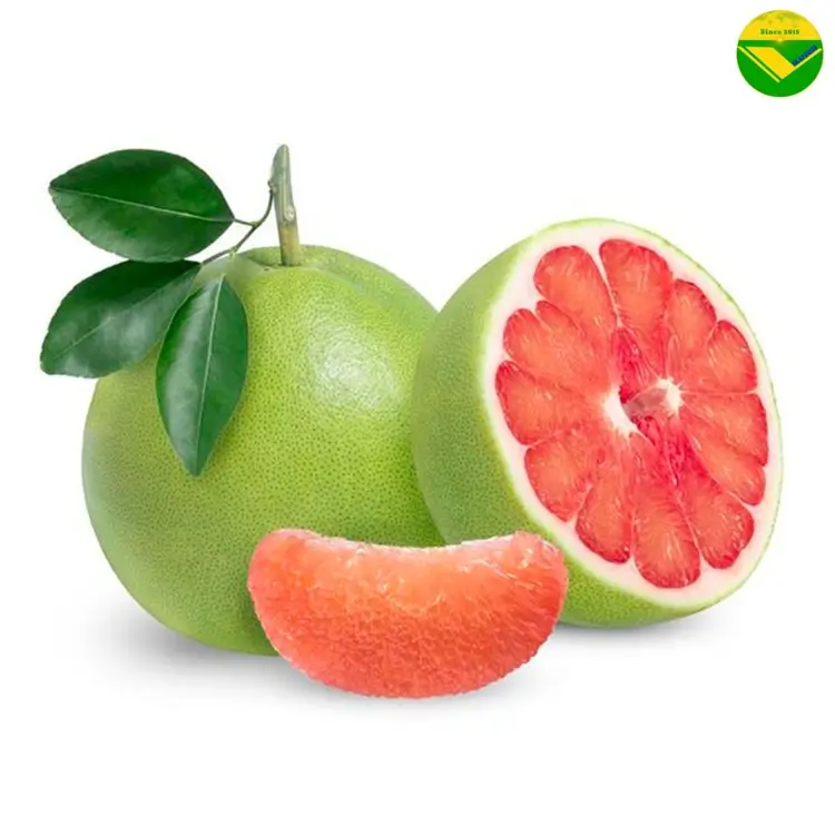Trái ổi tươi ngon Vikafoods 