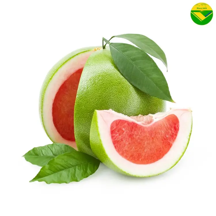 Trái ổi tươi ngon Vikafoods 