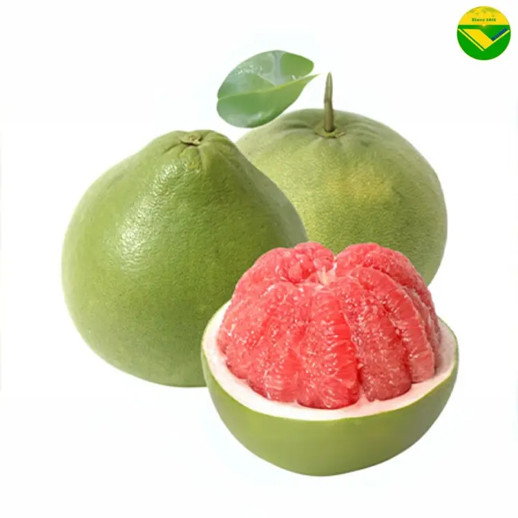Trái ổi tươi ngon Vikafoods 