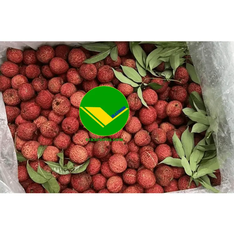 Vải đông lạnh vikafoods 