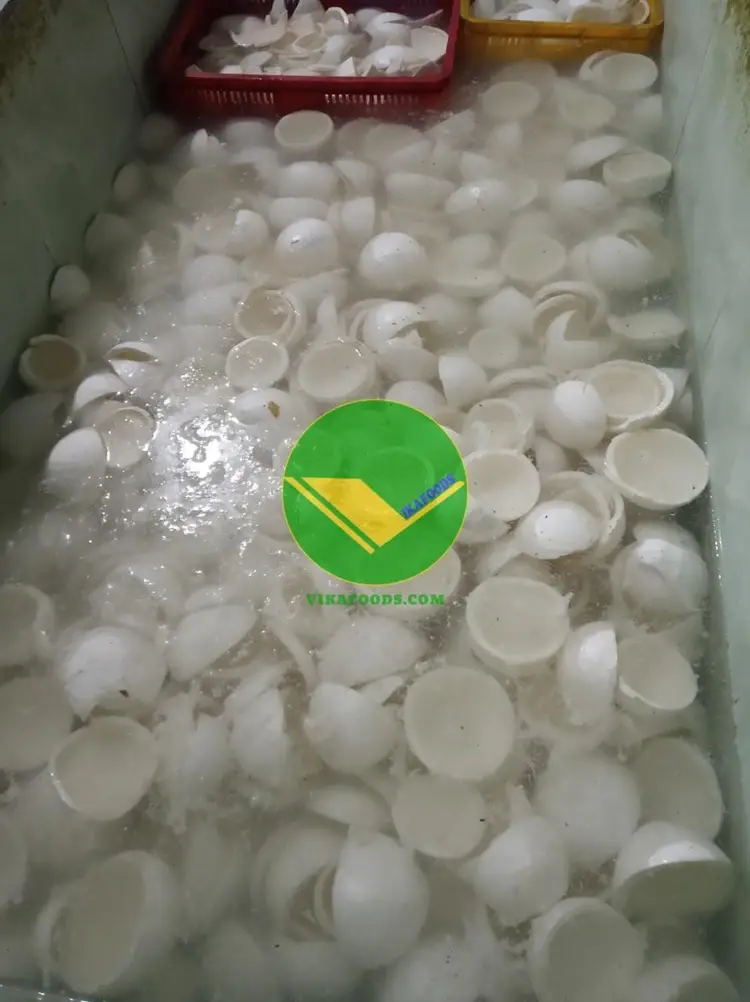 vikafoods chuyên cung cấp cơm dừa đông lạnh  