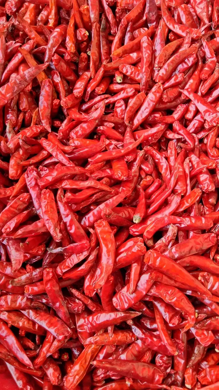 Vikafoods cung cấp nông sản sấy khô 