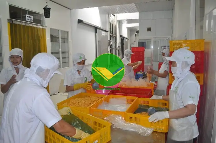 Xoài đông lạnh vikafoods 