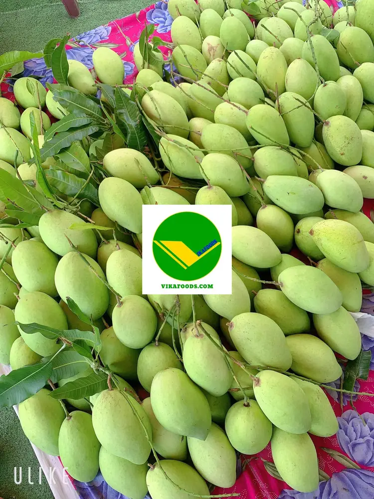 Xoài thơm ngon Vikafoods 