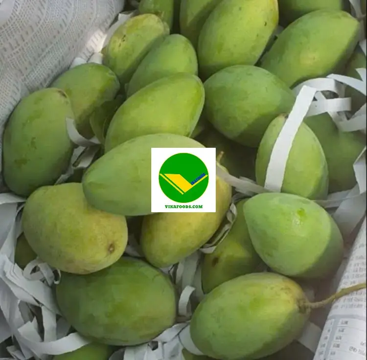 Xoài tươi ngon Vikafoods 