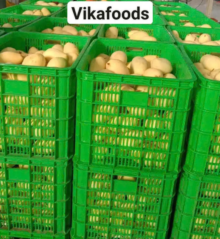 Xoài tươi vikafoods 